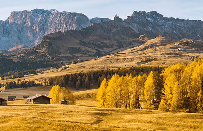 Montagna