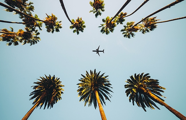 Volo + Hotel