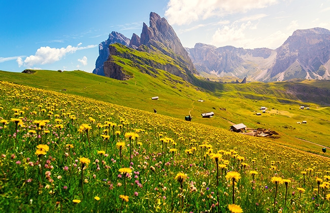 Montagna