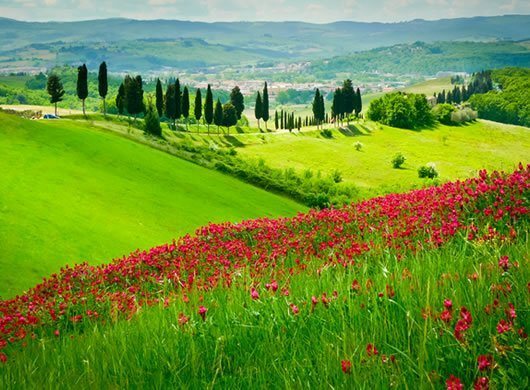 Natura / Agriturismo