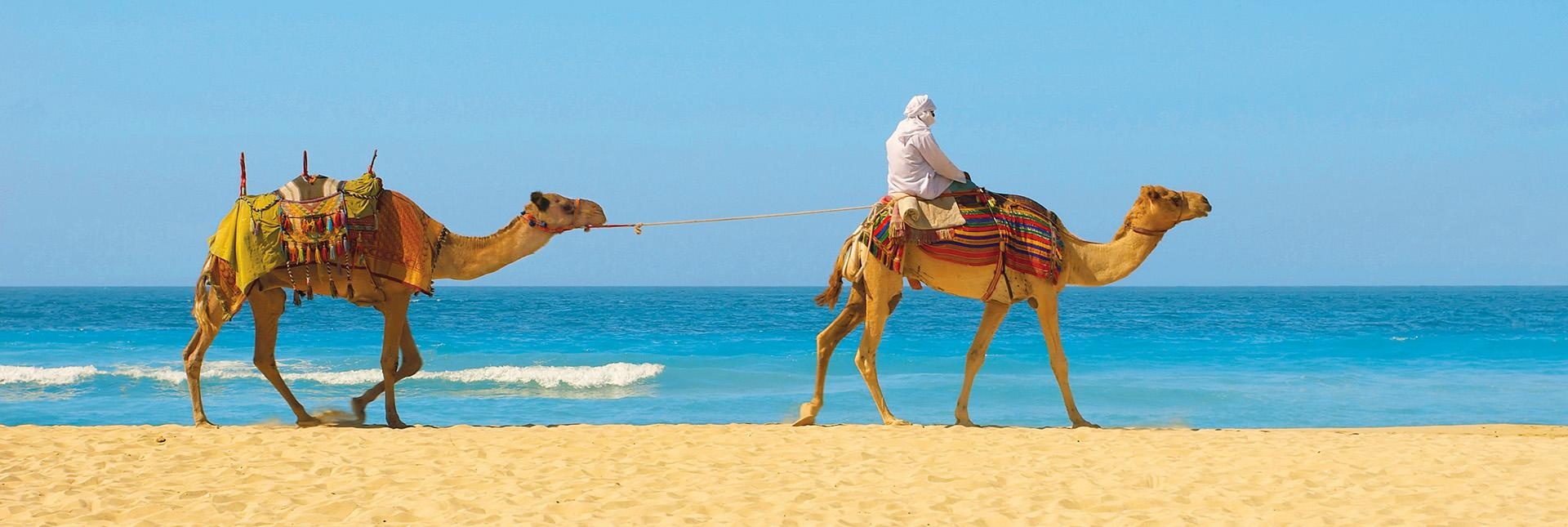 Offerte vacanze in Egitto