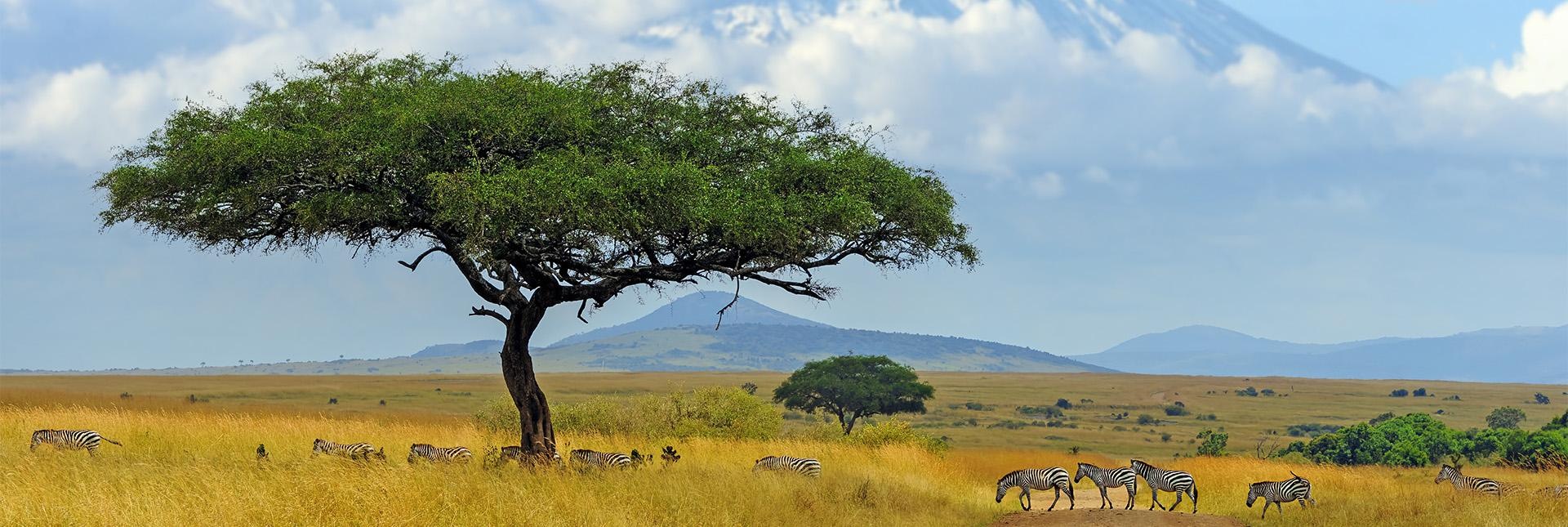 Offerte vacanze in Kenya