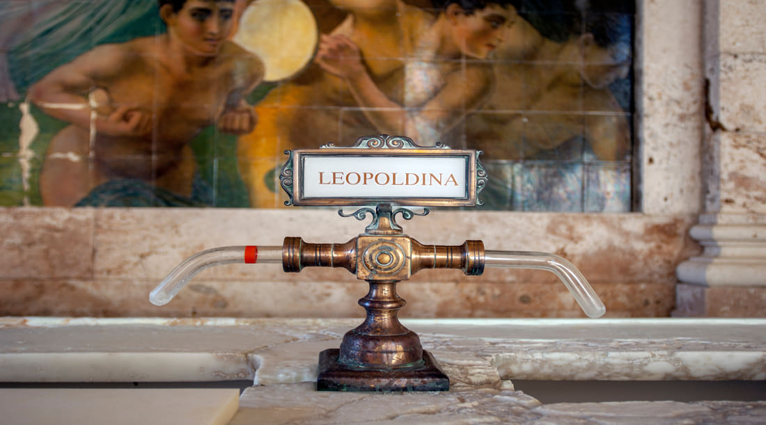 Thermalbäder Hotel Angebote in Montecatini Terme