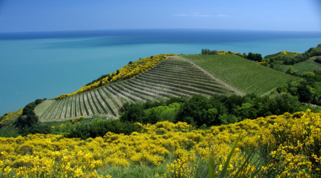 Hotels und Urlaub in den Marken