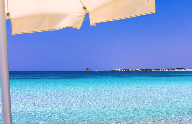 Mare