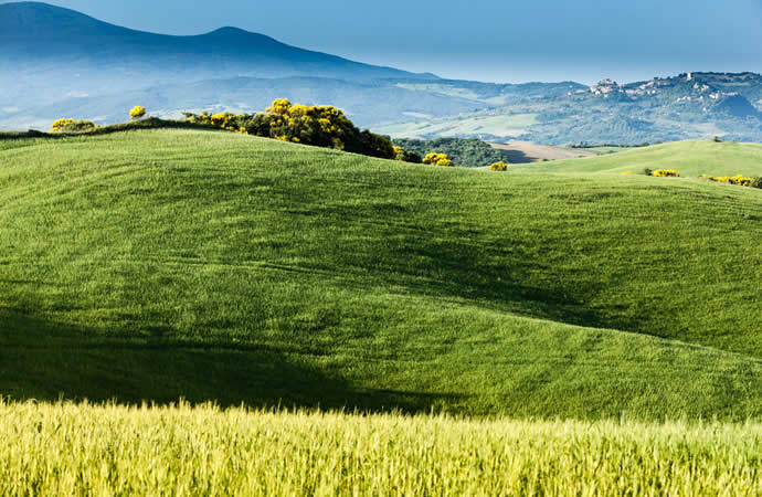 Natura / Agriturismo
