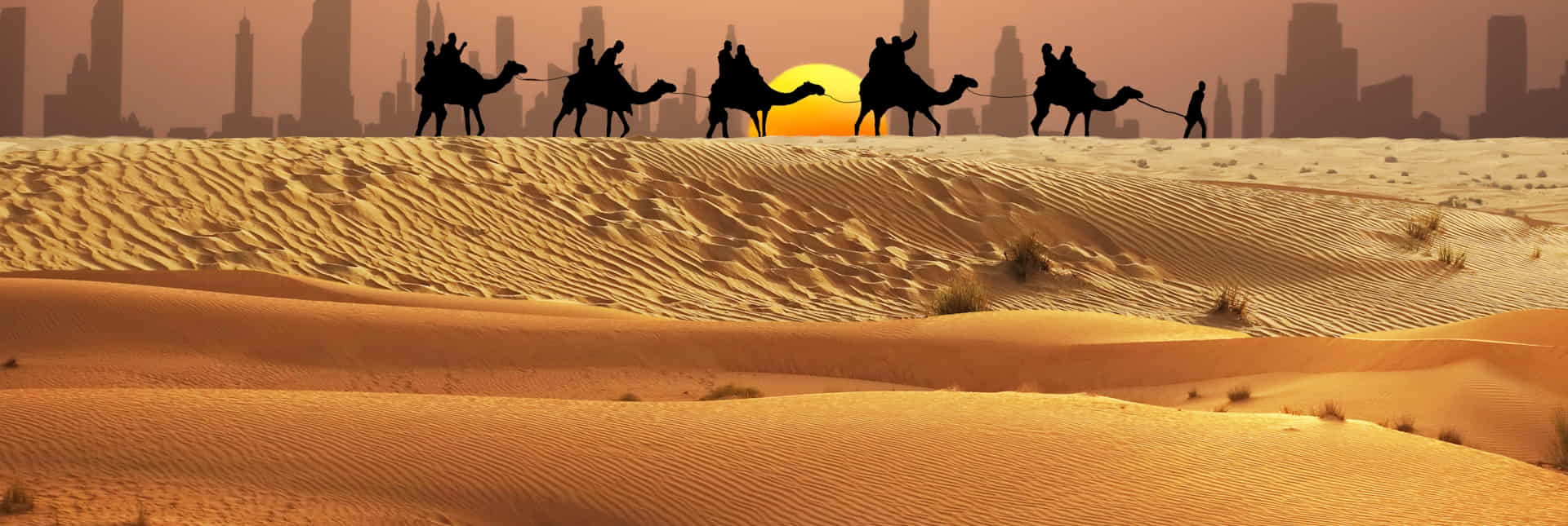 Le mille e una notte