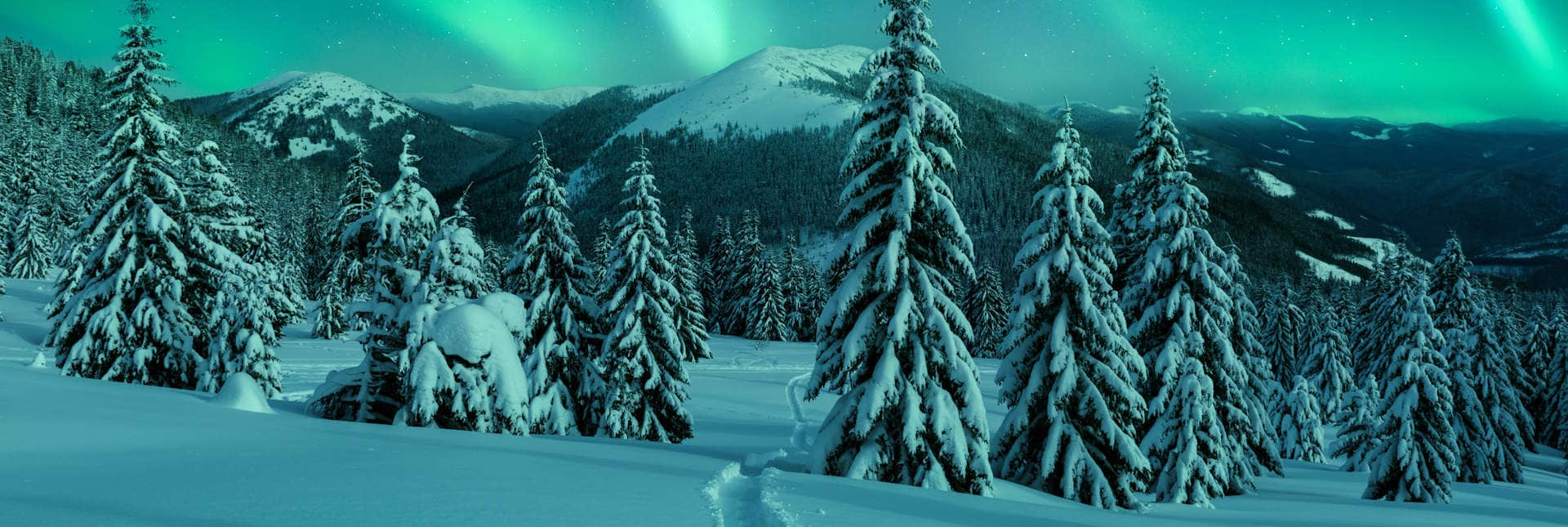 Destinazione: Aurora Boreale