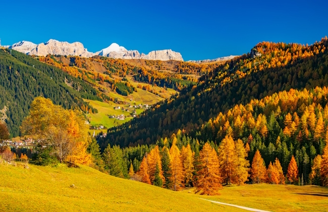 Trentino Alto Adige