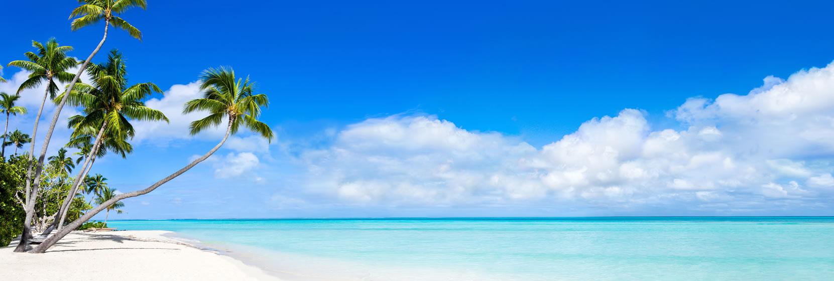  Caraibi