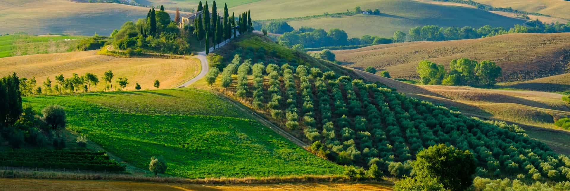 Le colline del Chianti