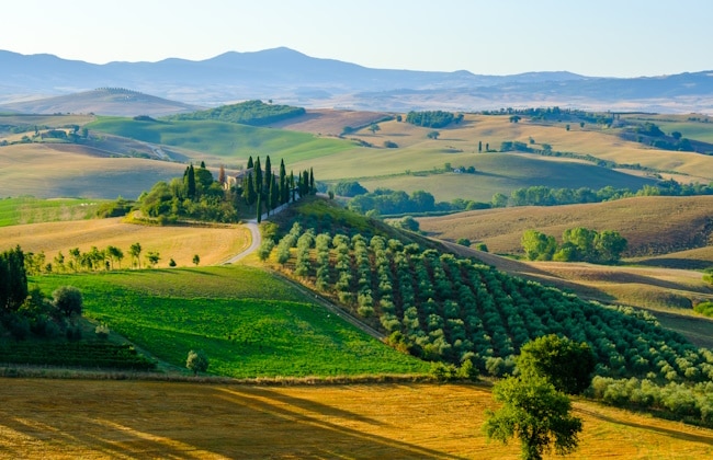 Le colline del Chianti