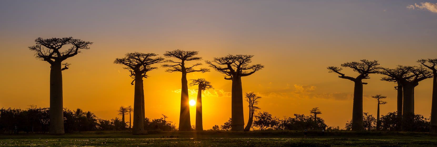  Madagascar