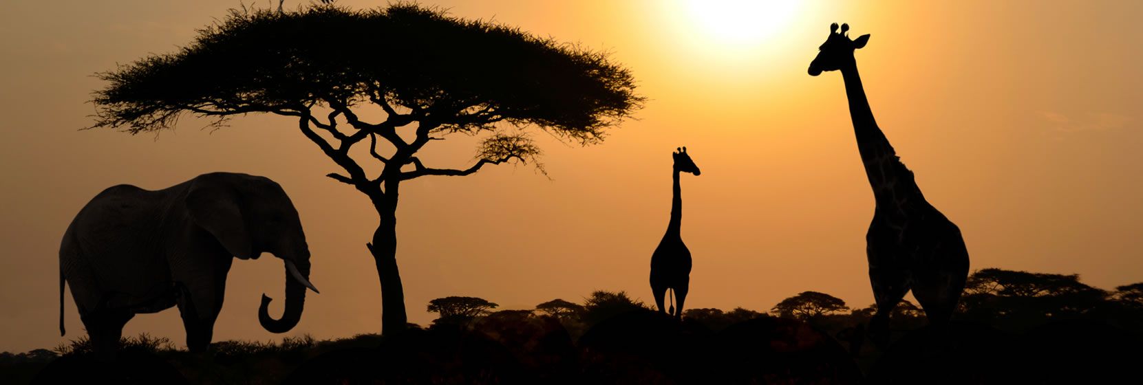  Tanzania