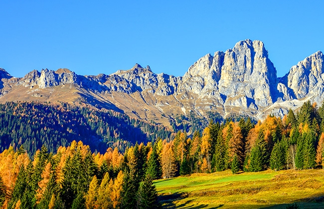 Trentino Alto Adige