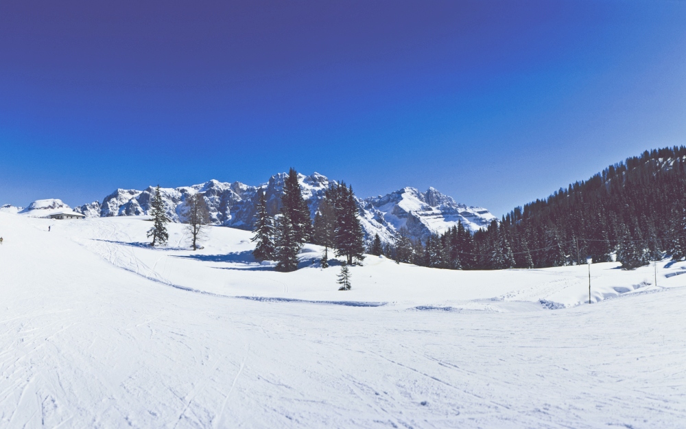 Trentino-Alto Adige - Cogolo di Peio (TN)