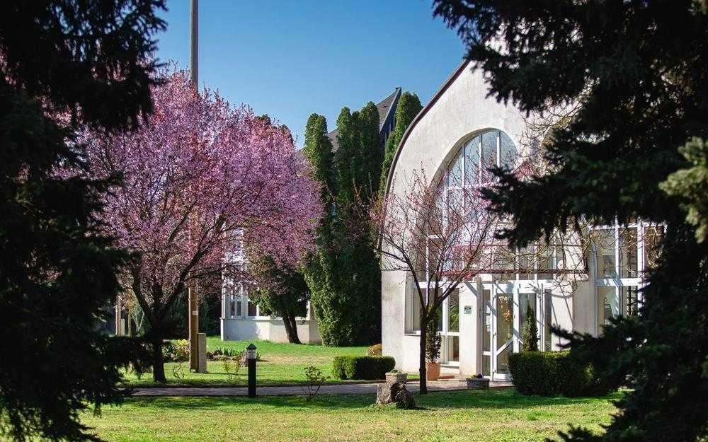 immagini galleria