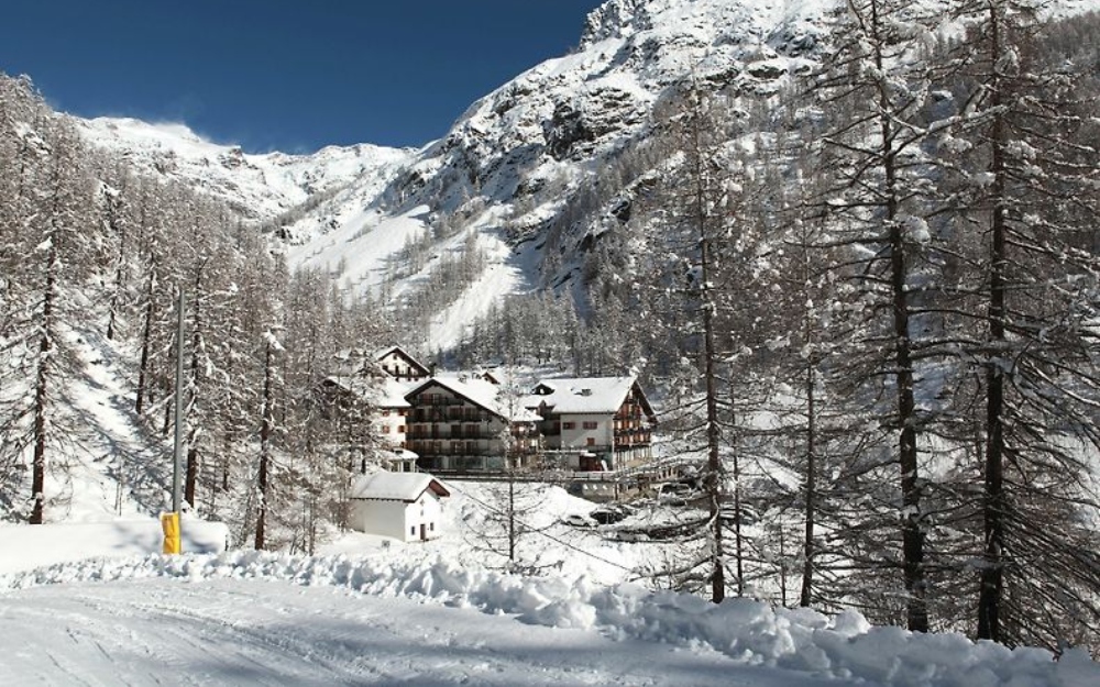 immagini galleria