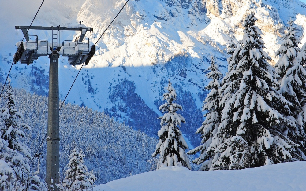 Trentino-Alto Adige - Andalo (TN)