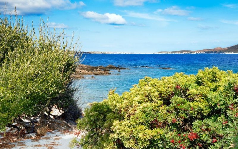 Sardegna - Golfo Aranci (SS)