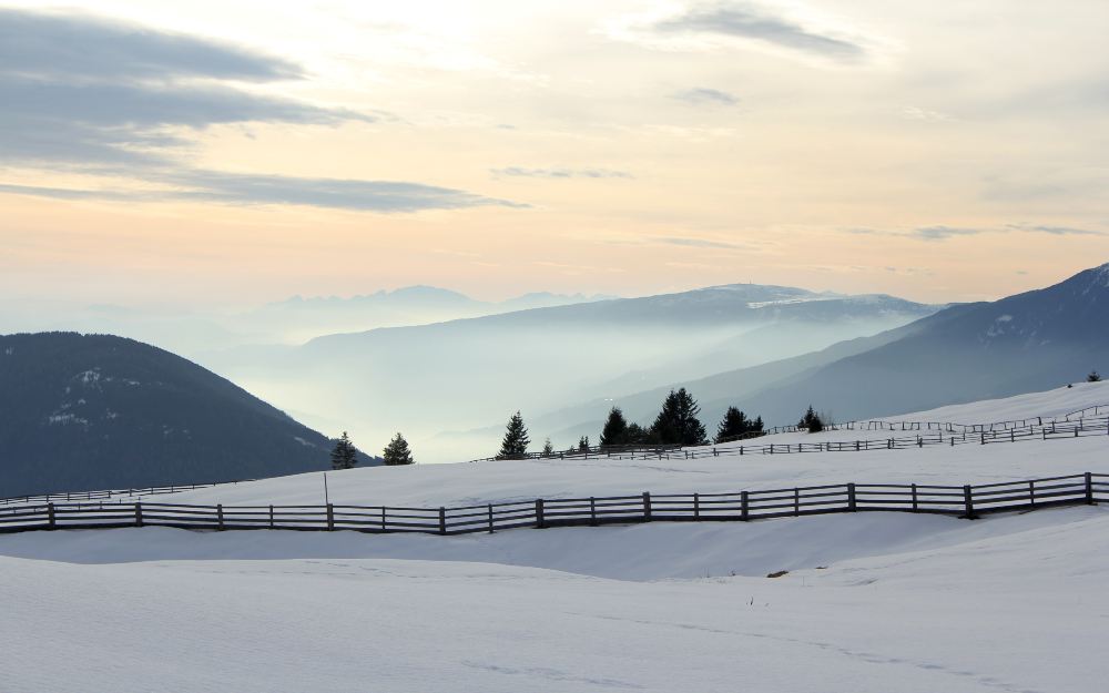 Trentino-Alto Adige - Campo di Trens (BZ)