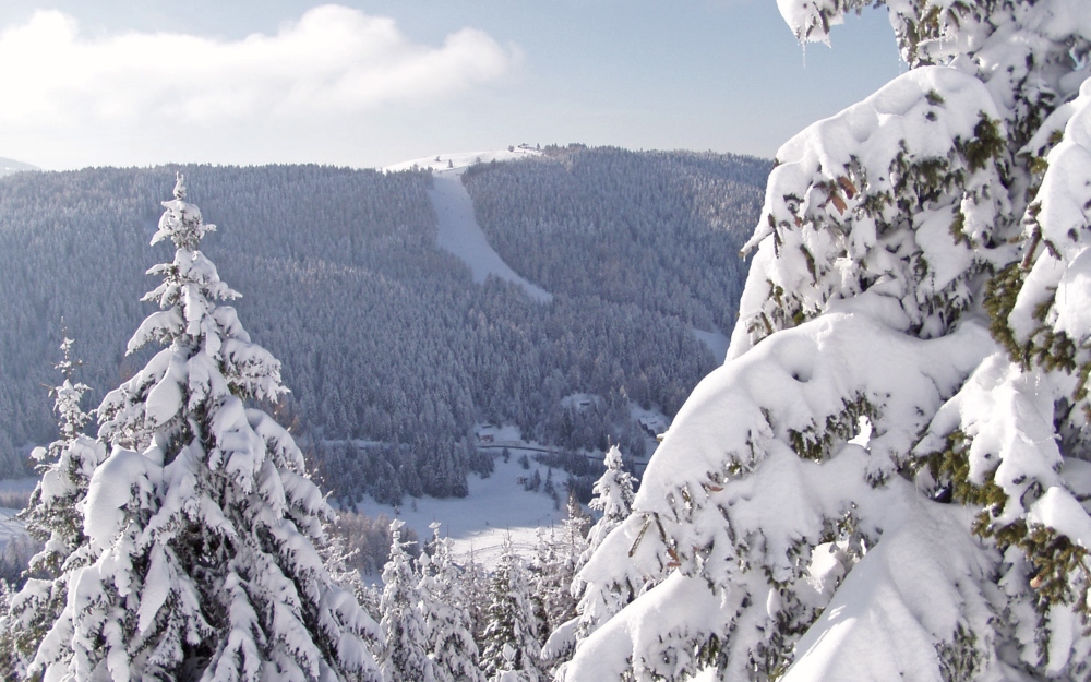 Trentino-Alto Adige - Folgaria (TN)