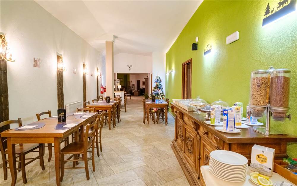 immagini galleria