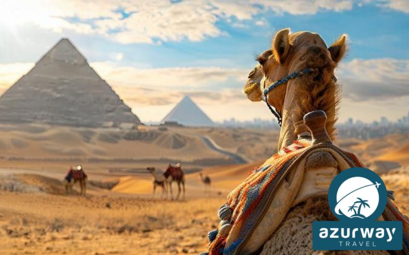 Egitto - Sharm El Sheikh – Il Cairo 