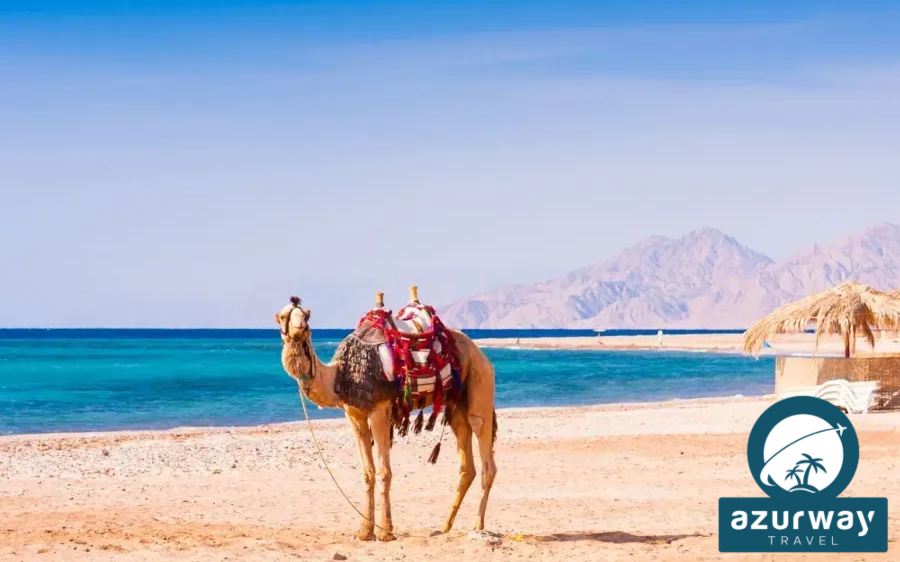 Egitto - Hurghada – Aswan – Abu Simbel - Kom Ombo – Edfu – Luxor 