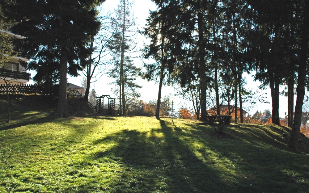 immagini galleria