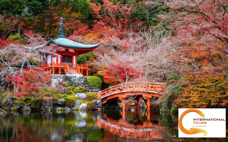 Giappone - Tokyo - Takayama - Shirakawa - Kanazawa - Kyoto
