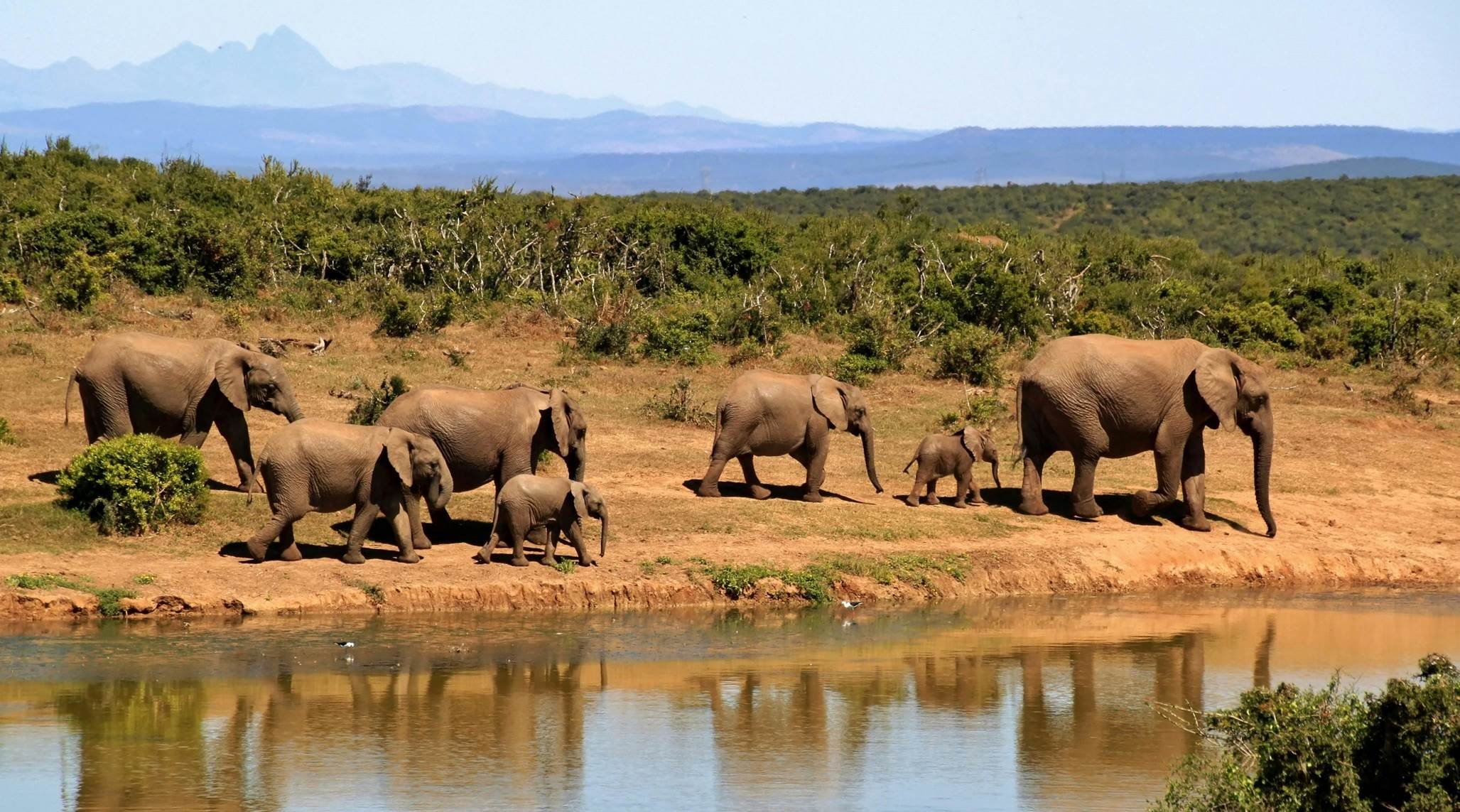 Kenya - Watamu