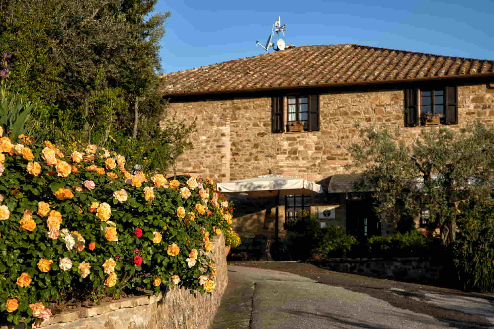 immagini galleria