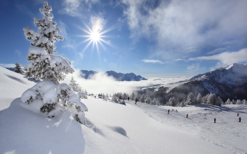 Trentino-Alto Adige - Mezzana (TN)